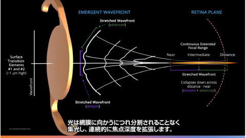 ���͖Ԗ��Ɍ������ɂꕪ������邱�ƂȂ��W�����A�A���I�ɏœ_�[�x���g�����܂��B