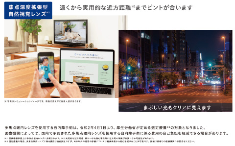 ����������p�I�ȋߕ������܂Ńs���g�������܂��B